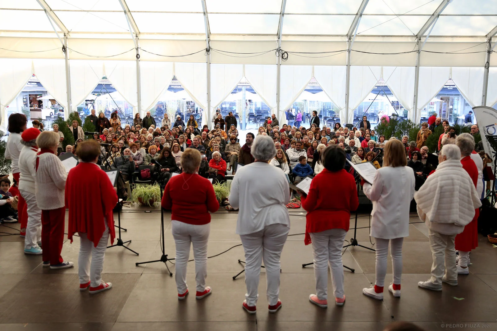 VoxCor — coro e grupo vocal VoxLaci em Cascais